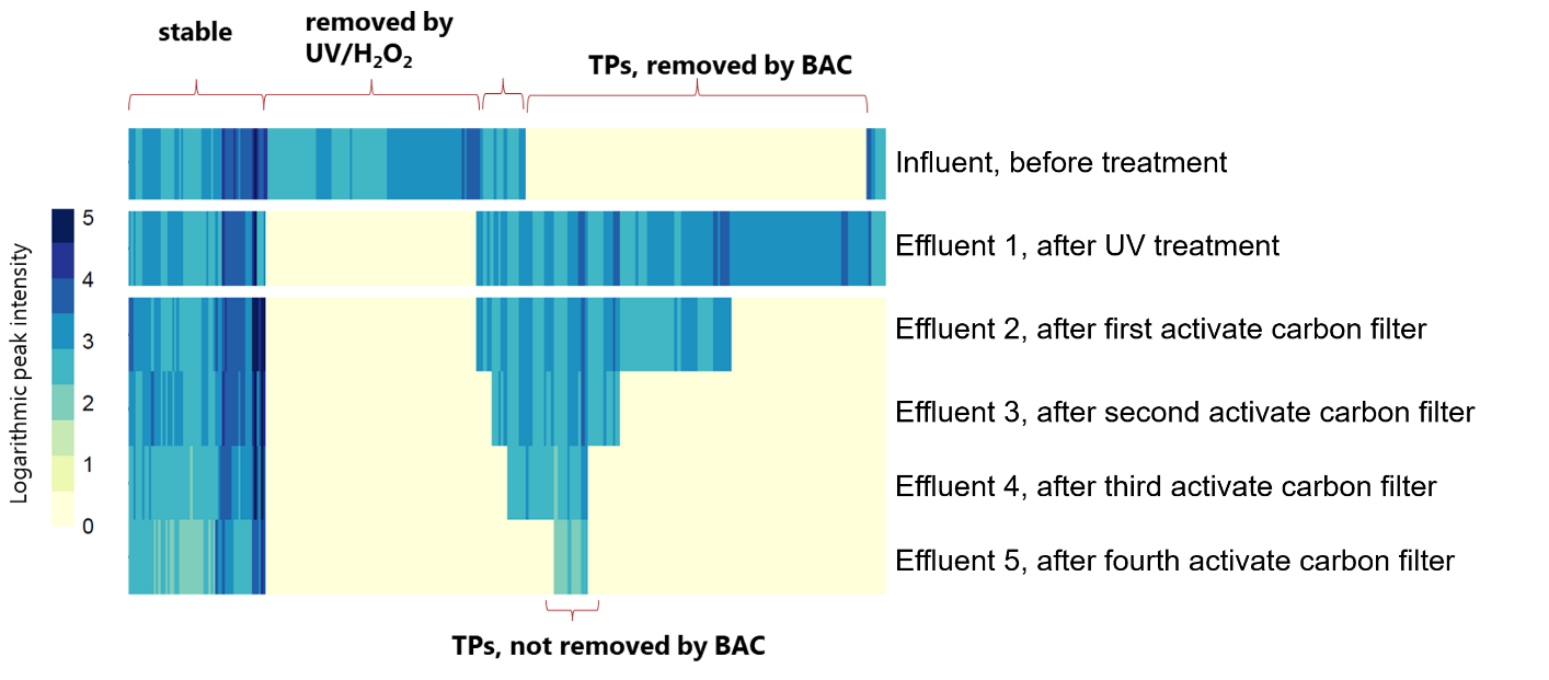 AOP-BAC Treatment Fate Mapping